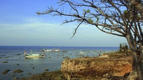 'Pulau Oksigen' Jadi Objek Wisata Menarik di Sumenep