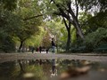 Sosok Misterius Buka Taman bagi Warga Paris yang Stres Corona
