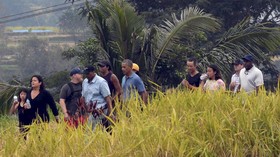 Rahasia Tubuh Bugar Michelle Obama Saat Liburan di Bali