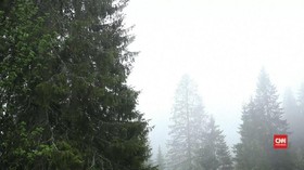 Di Hutan Oslo, Perpustakaan Abad ke-22 Tumbuh
