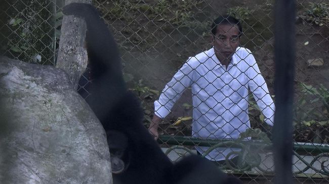Pengelola Taman Margasatwa Ragunan juga pernah dikejutkan dengan kedatangan Presiden Jokowi yang tanpa pemberitahuan sebelumnya.