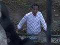 SBY Beri Nama Satwa sampai JK Ajak Cucu Piknik di Ragunan