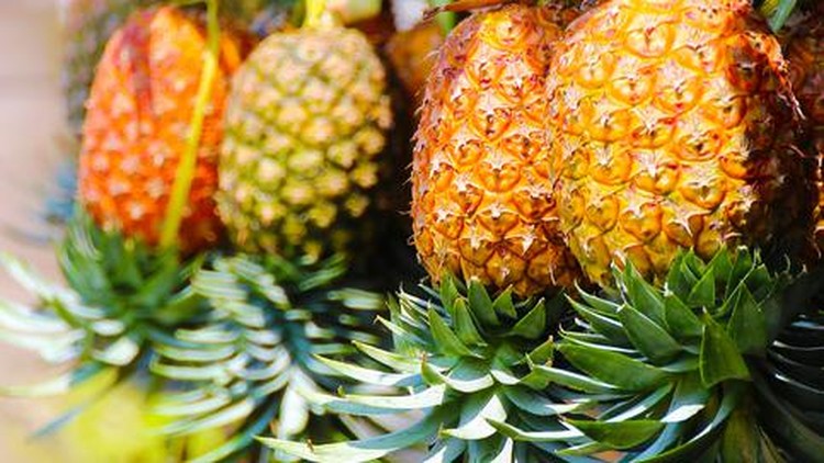 Katanya ibu hamil nggak boleh makan nanas karena nanti bisa keguguran.