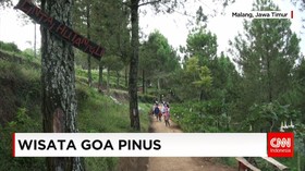 Goa Pinus Alternatif Wisata Alam di Libur Lebaran