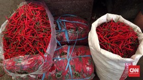 Cara Petani Cabai Banyuwangi Raup Laba Ratusan Juta