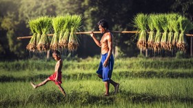 Rasakan Suasana Kampung di Omah Kecebong