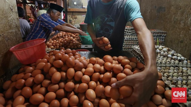 Harga telur ayam di sejumlah pasar di Jakarta naik. Di Pasar Tebet misalnya, harga telur sudah tembus Rp34 ribu per kg.