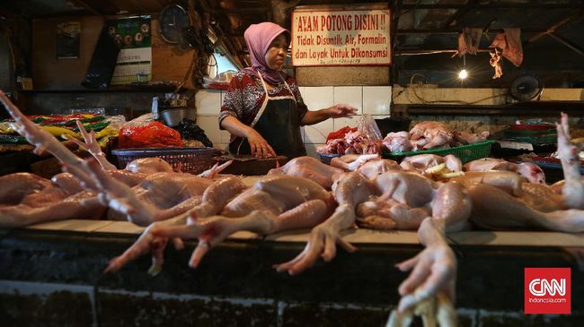 Mendag Akui Gagal Kendalikan Harga Ayam Saat Lebaran