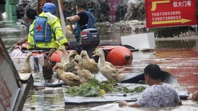 Banjir China Picu Lonjakan Harga Pangan