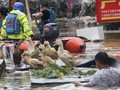 Banjir China Picu Lonjakan Harga Pangan