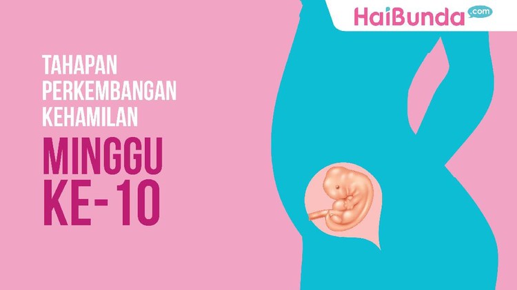 Kejutan apa lagi ya yang Bunda dapatkan di kehamilan minggu ke-10 ini?