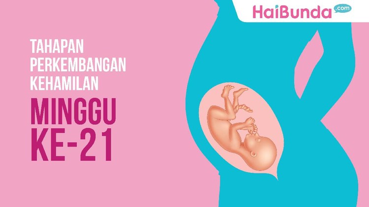 Di minggu ke-21 ini, apa lagi perkembangan yang dialami si kecil ya?
