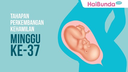 Detik Network