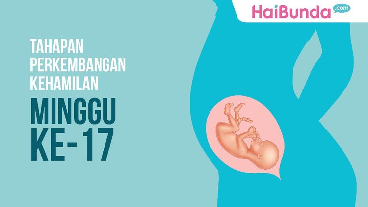 Usia kehamilan sudah 17 minggu nih. Sst, si calon bayi sudah sebesar pir, Bun.