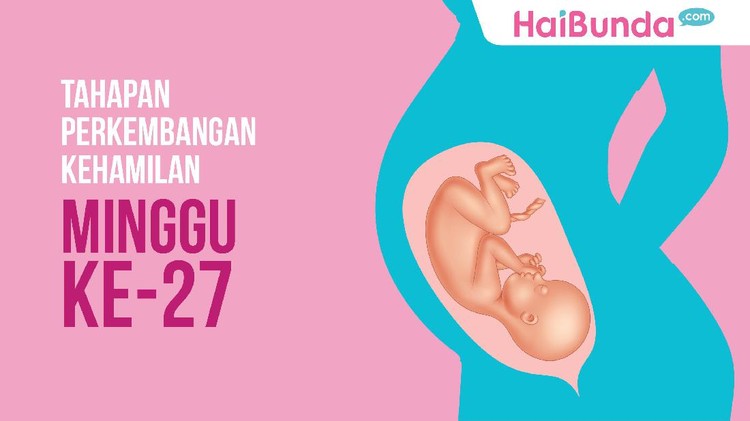 Yuk, kita intip lagi perkembangan si kecil di usia kehamilan 27 minggu.