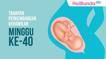 Detik Network
