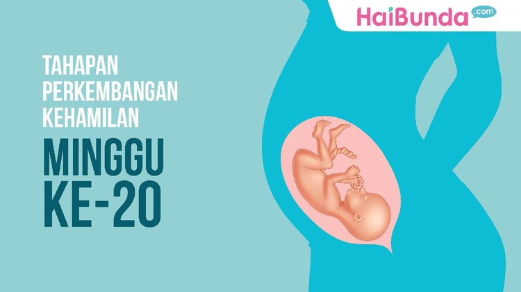 Usia kehamian 20 minggu, bagaimana kondisi janin sekarang?