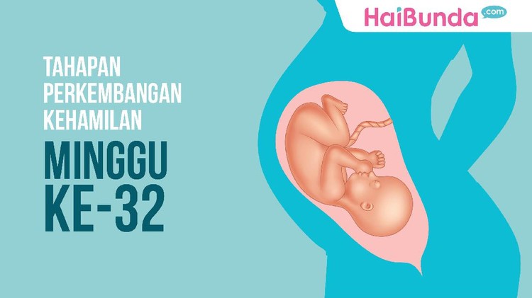 Udah memasuki minggu ke-32 nih Bun. Hmm, apa lagi ya perkembangan yang dialami si kecil?