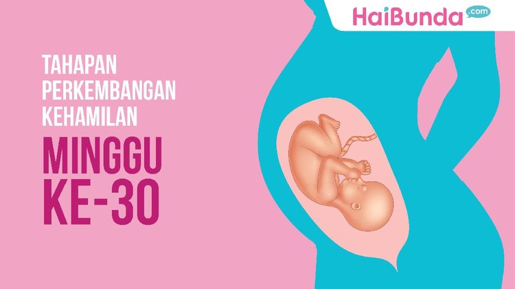 Sudah 30 minggu si kecil ada di perut Bunda. Apa kabarmu sekarang, Nak?