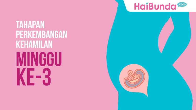 Kehamilan sudah memasuki minggu ke-tiga. Bagaimana kondisinya?