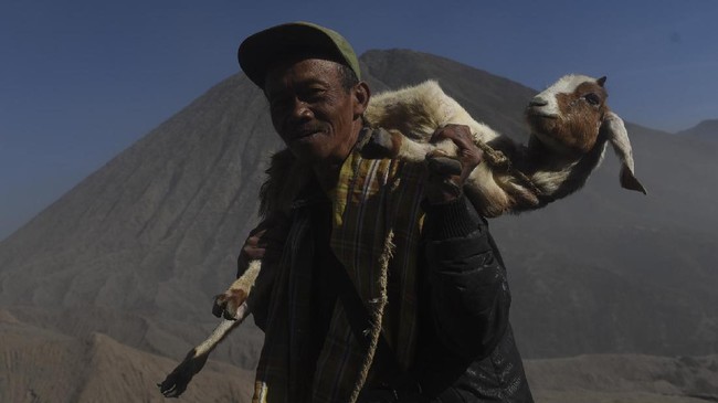 Budidaya kambing diharapkan akan meningkatkan kesejahteraan petani tembakau sembari mengisi kekosongan musim panen.