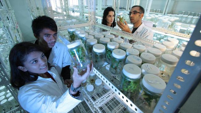 LIPI Bakal Ajak Masyarakat Jadi Peneliti Amatir LIPI mengembangkan metode agar masyarakat mengabadikan flora dan fauna yang ditemukan dianggap belum pernah diidentifikasi sebelumnya melalui aplikasi ponsel.