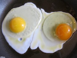 Kuning Telur Vs Putih Telur, Mana yang Lebih Sehat?