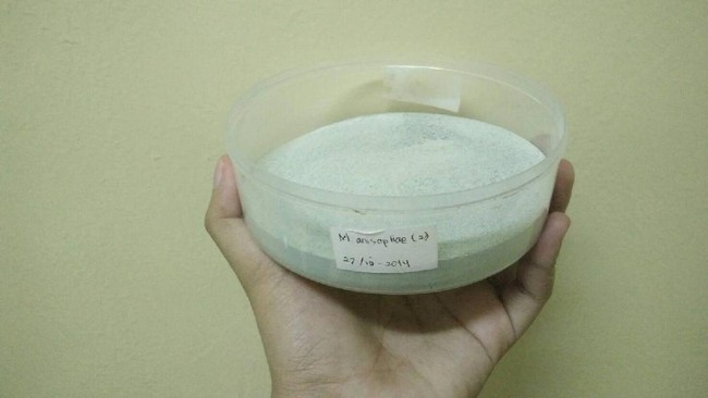 Seorang dosen di Unpad Bandung membuat virus yang dapat membunuh hama ulat pada tanaman sayuran.