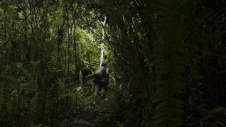 KLHK Klaim Omnibus Law Cegah Kriminalisasi Warga Hutan Adat