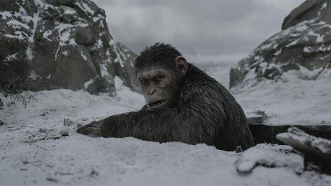 War for the Planet of the Apes mengalahkan Spider-Man: Homecoming pada debutnya, langsung membawa pulang US$56,5 juta (Rp752 miliar).