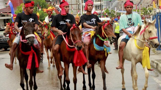 Kuda Sandelwood menjadi simbol kelas bagi masyarakat Sumba, dari lahir sampai meninggal dunia. Kelestariannya penting untuk dilanjutkan.