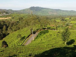 Cara Menuju Rancabali dengan Transportasi Umum