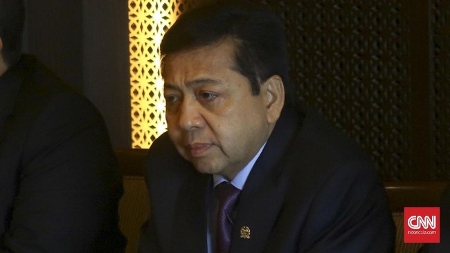 Meski Setnov tetap ditunjuk sebagai Ketum Golkar, Nurdin Halid dan Idrus Marham akan dipercaya menjadi pelaksana tugas fungsi harian Partai Golkar.