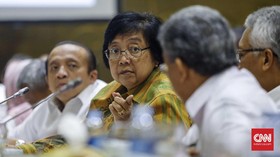 Menteri LHK: 637 Ribu Ha Lahan Mangrove di 9 Provinsi Kritis
