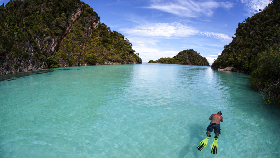 4 Spot Diving Indonesia Masuk Jajaran Terbaik di Asia