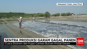 Sentra Produksi Garam Gagal Panen