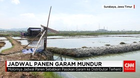 Sentra Produksi Garam Gagal Panen