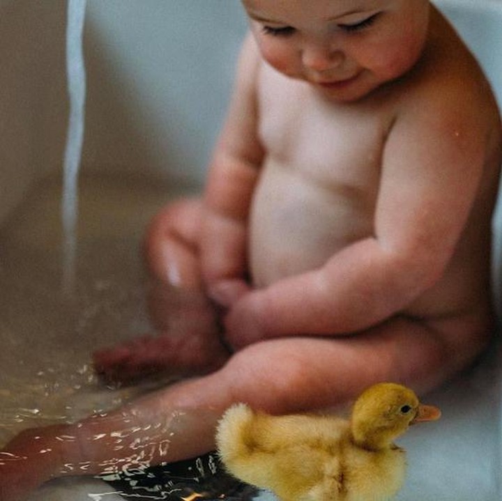 <div>Ditambah kehadiran seekor anak bebek, foto bayi yang lagi mandi ini bikin geregetan kan Bun? (Foto: Instagram/ @bekahrussom via @baby)</div><div> </div>