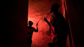Ketika Apartemen Tua Digusur oleh Ratusan Semut Merah