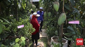 Bekas Lokalisasi Kedungbanteng Bakal Disulap Jadi Agrowisata