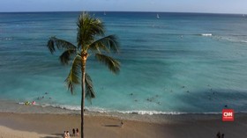 60 Detik Wisata Hawaii