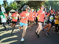 Banyuwangi Ijen Green Run 2017 Berikan Pengalaman Seru