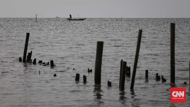 Penutupan dilakukan hingga perusahaan memiliki izin Kesesuaian Kegiatan Pemanfaatan Ruang Laut (KPPRL).