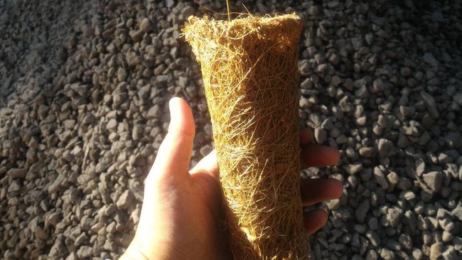 Lima mahasiswa Diploma UGM menciptakan polybag berbahan sabut kelapa yang lebih ramah lingkungan.
