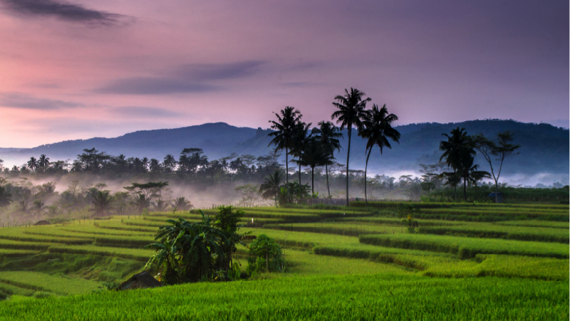 Desa Wisata Candran di Yogyakarta punya atraksi wisata yang menarik.