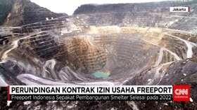 Perundingan Kontrak Izin Usaha Freeport