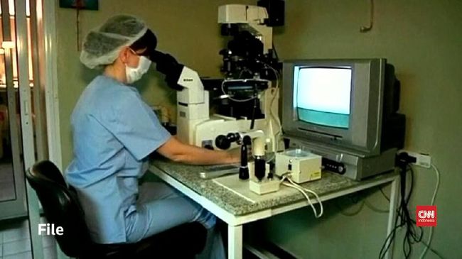 Keluarnya Inggris dari Uni Eropa berujung pada berkurangnya persediaan sperma impor untuk program inseminasi.