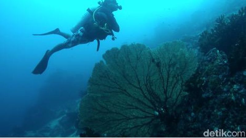Dinas Kebudayaan dan Pariwisata (Disbudpar) Aceh terus mengeksplorasi potensi pariwisata Sabang.