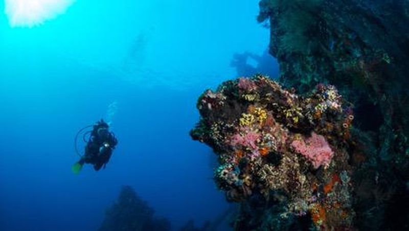 Salah satu event yang banyak ditunggu-tunggu oleh wisatawan di Bali yaitu Festival Pesona Tulamben 2017.