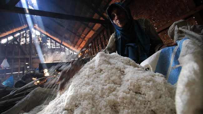 Selisih Harga Garam Petambak dan Impor Cuma 10 Persen